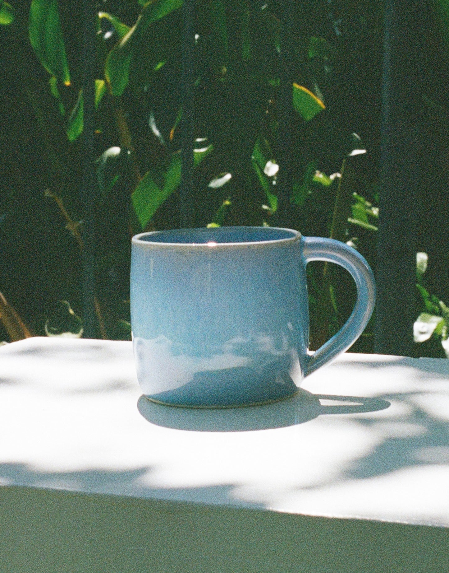 Turtle Bay Blue Mug